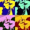 Danny O.T.W