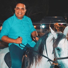 Mohamed Esam Al Tahawy