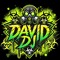 david dj newstyle