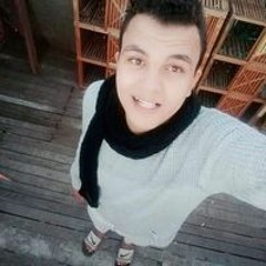 Mahmoud S. Fayed
