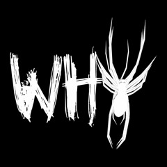 WhySpiders