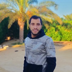 شيله تشوش - ارفقي بي ي بدويه.mp3