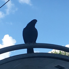 алексей смирнов