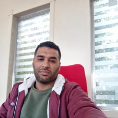 Mohamed Ragab
