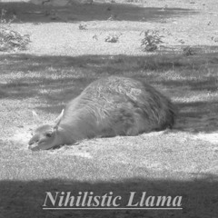 Nihilistic Llama