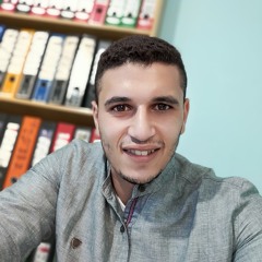 Mohamed Elhadad