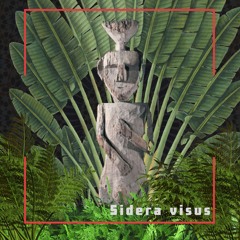 Sidera___Visus