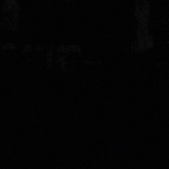 Antü Coimbra | Øostil