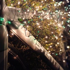 콘탄 어베인 주인장