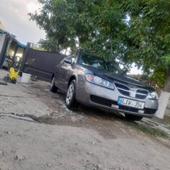 Stuvbeinii Anatolie