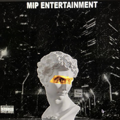 MiP Entertainment