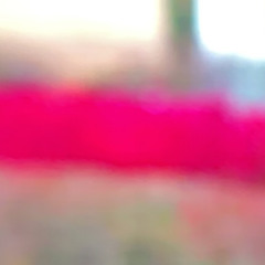 29_