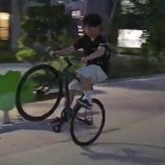 볼텍스 트릭장인