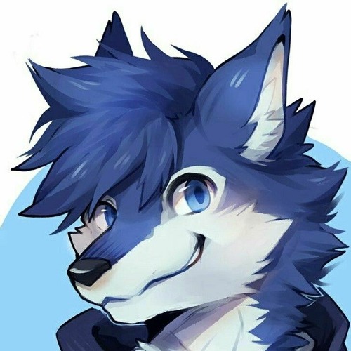 Gamingwolf’s avatar