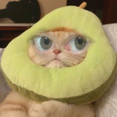 scaredycat