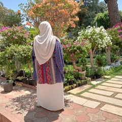 آيــة الطنْطاوي