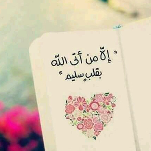 اللهم اجعل القرآن قلبي’s avatar