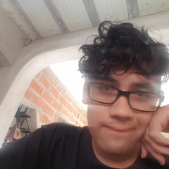 Alan salinas