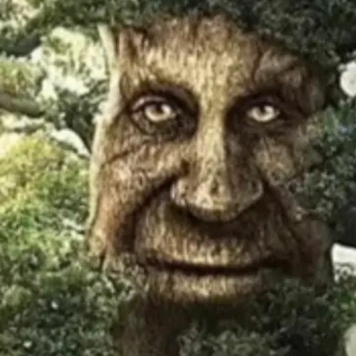 Dont be a wise mystical tree｜TikTok Search