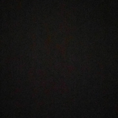 Wassim