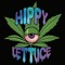 Hippy Lettuce