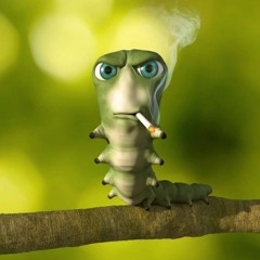 Rtottalynot