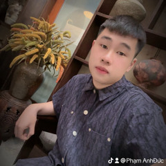 Phạm AnhĐức