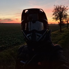 Jari_500