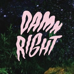 Damn Right! - Tiger Waves :::Feat. Marco Benevento:::