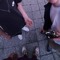 aj4_kk