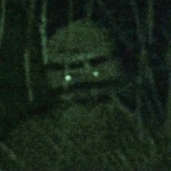 ZEFRAZ