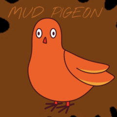 mud pigeon