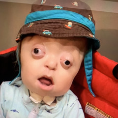 lasse_mag_affen_und_giraffen