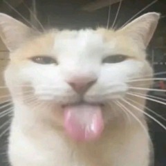 ąłƙĵæŋ§