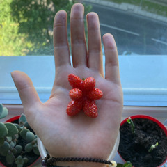 Карина Караханова