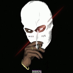 N i C E  I C E