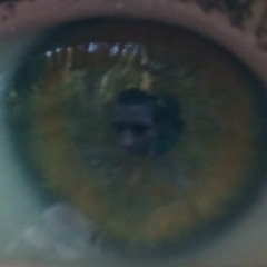 Dustyn