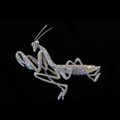 Mantis7k