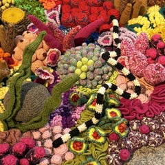 にゃんにゃんこ