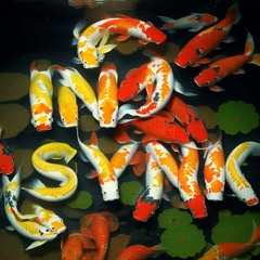 INSYNK AUDIO