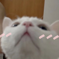 rvnk