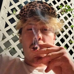 coltieboi