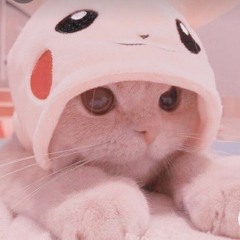 KelliCat