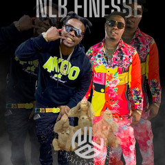 NLB FINESSE