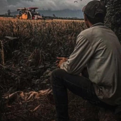 Đặng Tùng Anh