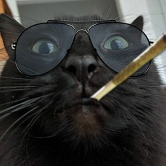 theRealMoonCat
