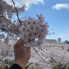 チエウーハード