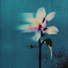 $ꪻꪮꪀᗱ᥅.ρꪖꪀᦔꪖᔰᒿᦲ𒉭