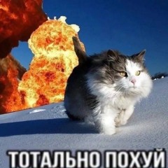 Codeinoslav