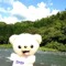 yodavid
